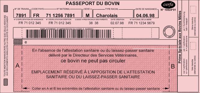 Modalités d'identification et de traçabilité des bovins - Maison de l